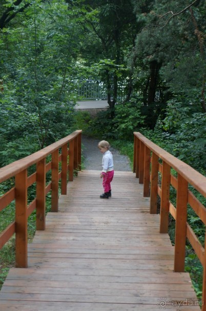 Серебряный бор - прекрасное место для отдыха в городе Серебряный бор - прекрасное место для отдыха в городе
