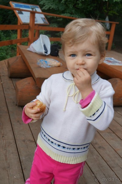 Серебряный бор - прекрасное место для отдыха в городе Серебряный бор - прекрасное место для отдыха в городе