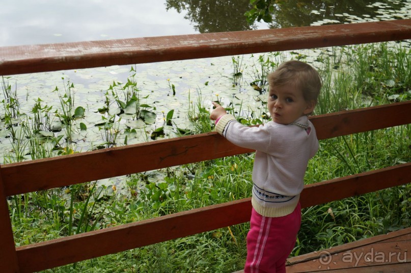 Серебряный бор - прекрасное место для отдыха в городе Серебряный бор - прекрасное место для отдыха в городе