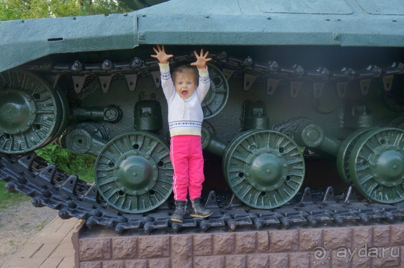 Серебряный бор - прекрасное место для отдыха в городе Серебряный бор - прекрасное место для отдыха в городе