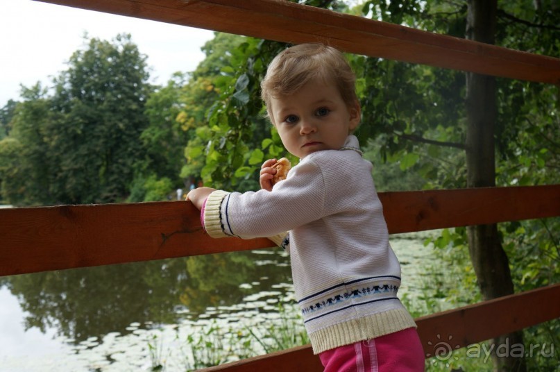 Серебряный бор - прекрасное место для отдыха в городе Серебряный бор - прекрасное место для отдыха в городе