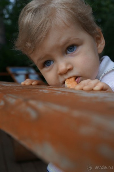 Серебряный бор - прекрасное место для отдыха в городе Серебряный бор - прекрасное место для отдыха в городе