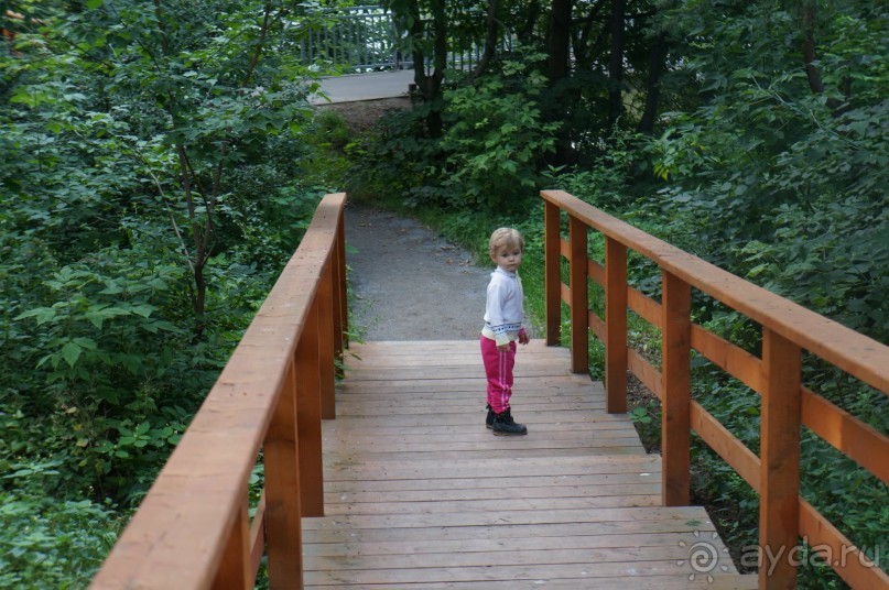 Серебряный бор - прекрасное место для отдыха в городе Серебряный бор - прекрасное место для отдыха в городе