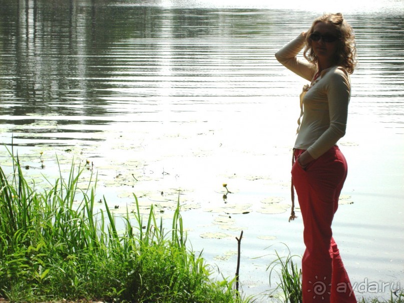 Серебряный бор - прекрасное место для отдыха в городе Серебряный бор - прекрасное место для отдыха в городе