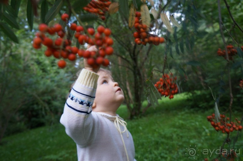Серебряный бор - прекрасное место для отдыха в городе Серебряный бор - прекрасное место для отдыха в городе