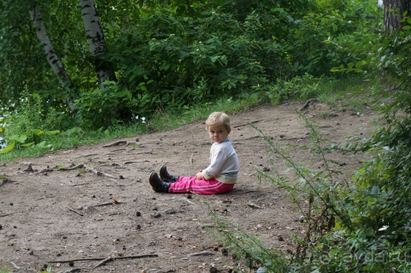 Серебряный бор - прекрасное место для отдыха в городе Серебряный бор - прекрасное место для отдыха в городе