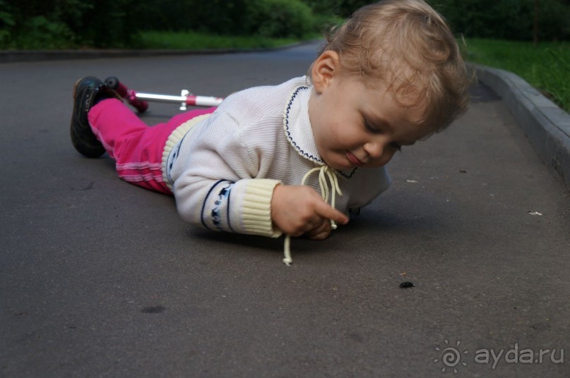 Серебряный бор - прекрасное место для отдыха в городе Серебряный бор - прекрасное место для отдыха в городе