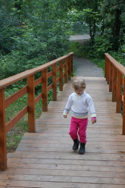 Серебряный бор - прекрасное место для отдыха в городе Серебряный бор - прекрасное место для отдыха в городе
