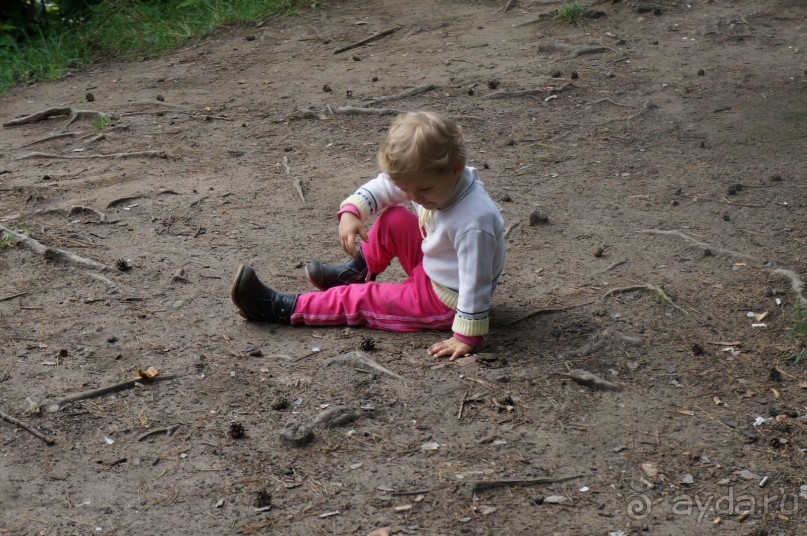 Серебряный бор - прекрасное место для отдыха в городе Серебряный бор - прекрасное место для отдыха в городе
