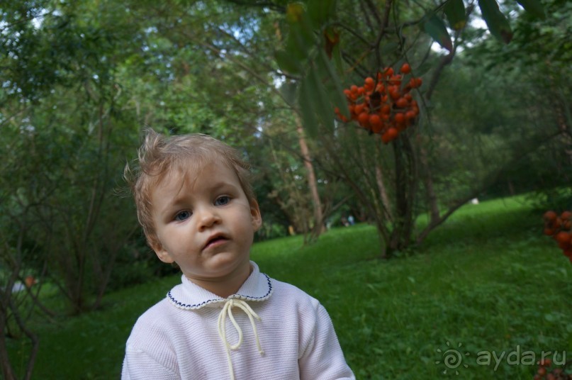 Серебряный бор - прекрасное место для отдыха в городе Серебряный бор - прекрасное место для отдыха в городе