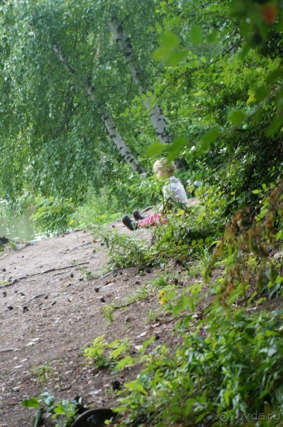 Серебряный бор - прекрасное место для отдыха в городе Серебряный бор - прекрасное место для отдыха в городе