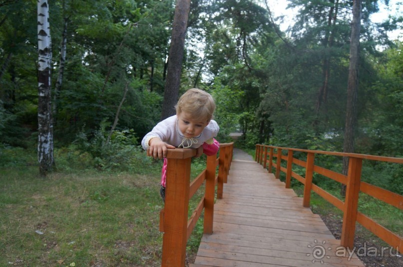 Серебряный бор - прекрасное место для отдыха в городе Серебряный бор - прекрасное место для отдыха в городе