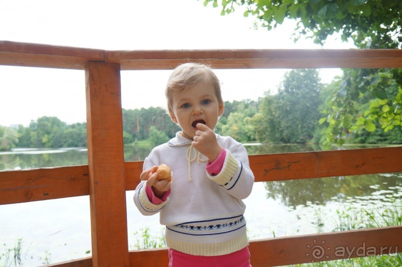 Серебряный бор - прекрасное место для отдыха в городе Серебряный бор - прекрасное место для отдыха в городе