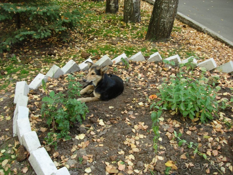 Санаторий "Сосновый бор" в Татарстане - отличный отдых