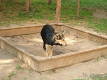 Санаторий "Сосновый бор" в Татарстане - отличный отдых