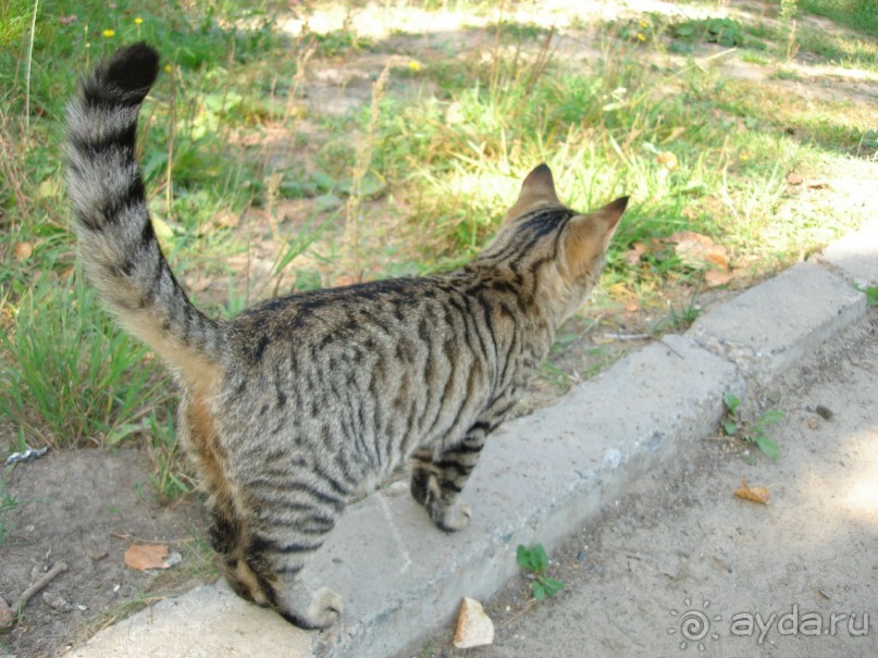 Санаторий "Сосновый бор" в Татарстане - отличный отдых