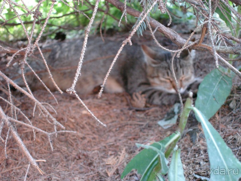 Санаторий "Сосновый бор" в Татарстане - отличный отдых