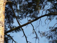 Санаторий "Сосновый бор" в Татарстане - отличный отдых