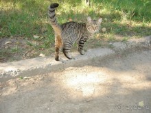 Санаторий "Сосновый бор" в Татарстане - отличный отдых