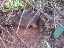 Санаторий "Сосновый бор" в Татарстане - отличный отдых