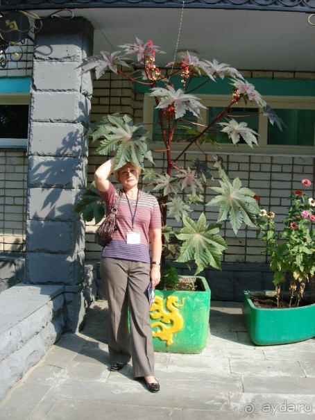 Санаторий "Сосновый бор" в Татарстане - отличный отдых