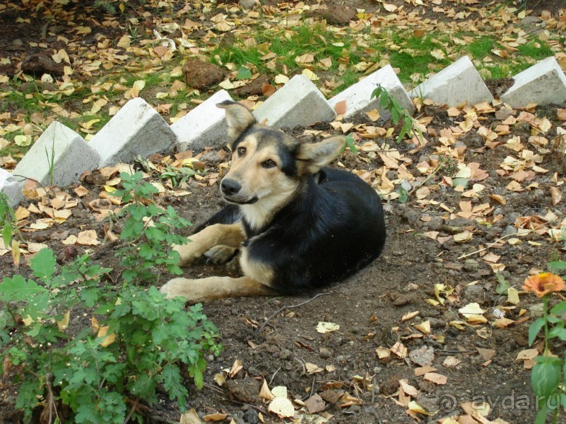 Санаторий "Сосновый бор" в Татарстане - отличный отдых