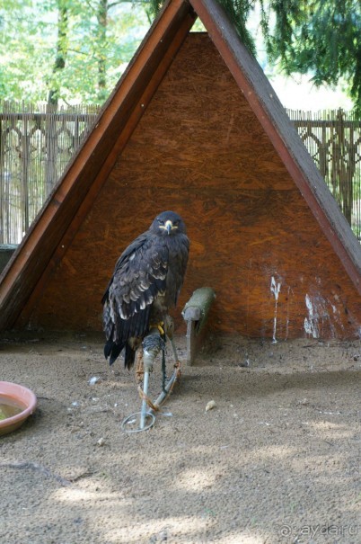 Замок Конопиште - резиденция эрцгерцога Франца Фердинанта