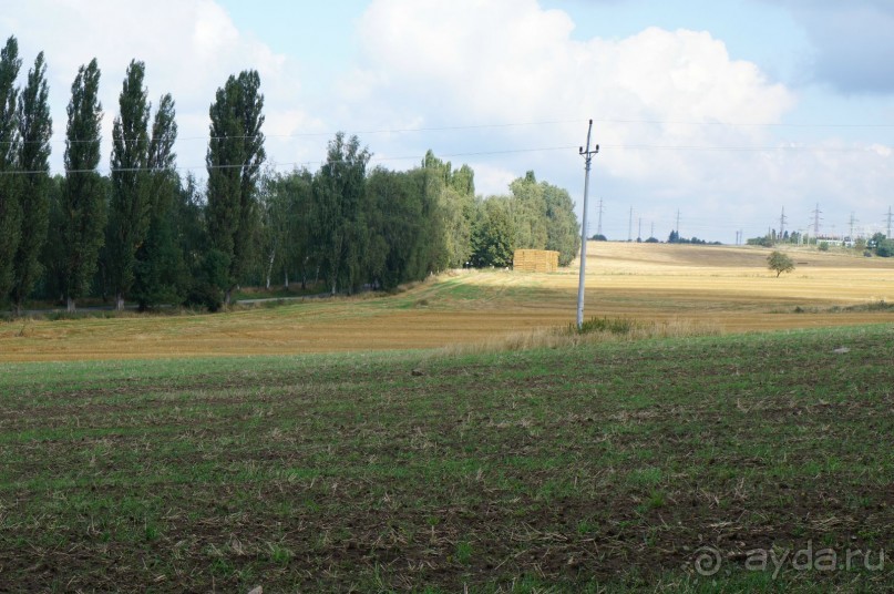 Замок Конопиште - резиденция эрцгерцога Франца Фердинанта