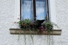 Замок Конопиште - резиденция эрцгерцога Франца Фердинанта