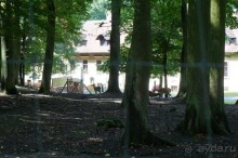 Замок Конопиште - резиденция эрцгерцога Франца Фердинанта