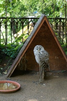 Замок Конопиште - резиденция эрцгерцога Франца Фердинанта