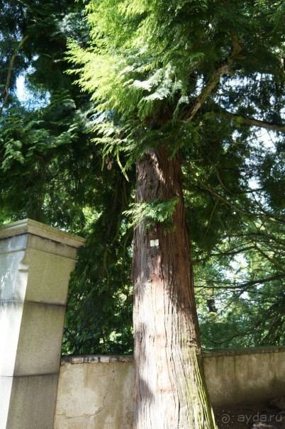 Замок Конопиште - резиденция эрцгерцога Франца Фердинанта