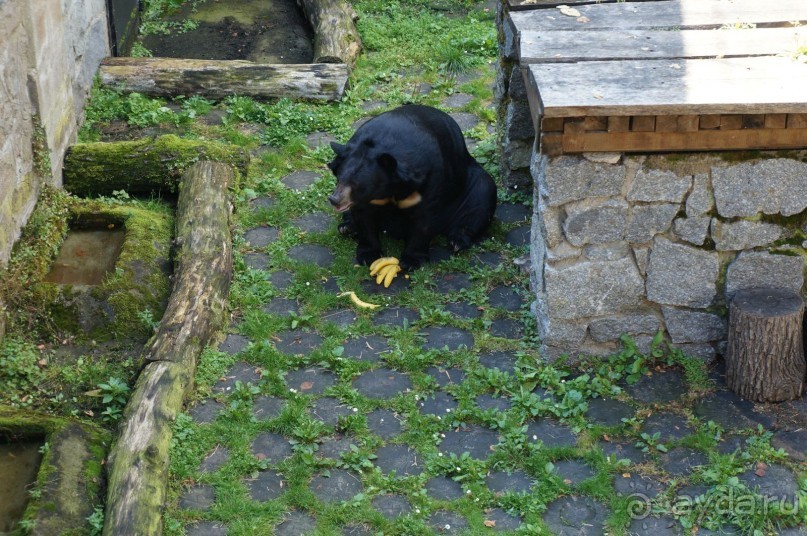 Замок Конопиште - резиденция эрцгерцога Франца Фердинанта