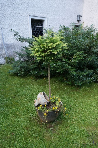 Замок Конопиште - резиденция эрцгерцога Франца Фердинанта