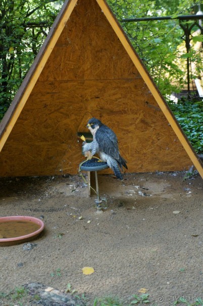 Замок Конопиште - резиденция эрцгерцога Франца Фердинанта