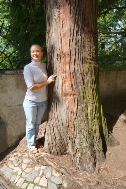 Замок Конопиште - резиденция эрцгерцога Франца Фердинанта