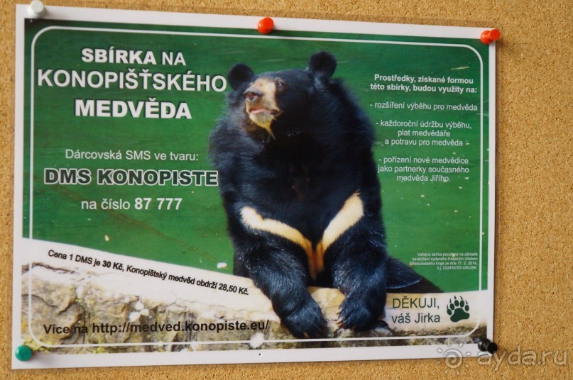 Замок Конопиште - резиденция эрцгерцога Франца Фердинанта