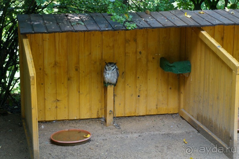 Замок Конопиште - резиденция эрцгерцога Франца Фердинанта