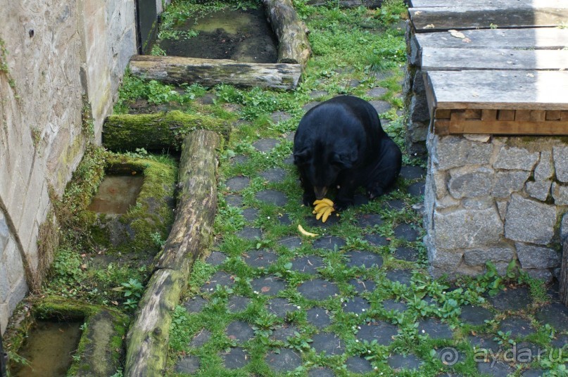 Замок Конопиште - резиденция эрцгерцога Франца Фердинанта