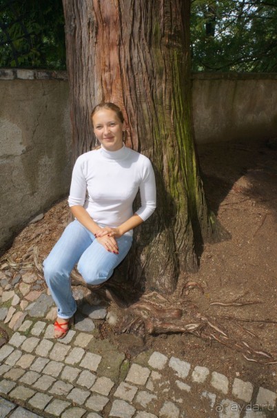 Замок Конопиште - резиденция эрцгерцога Франца Фердинанта