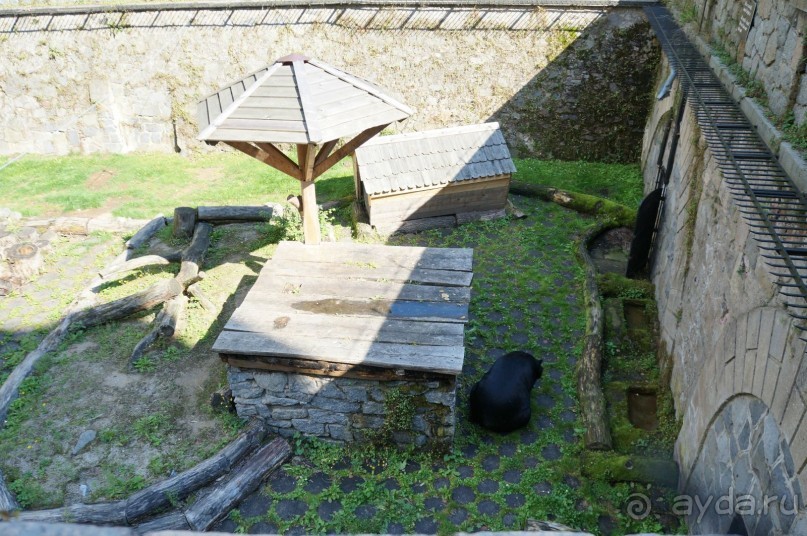 Замок Конопиште - резиденция эрцгерцога Франца Фердинанта