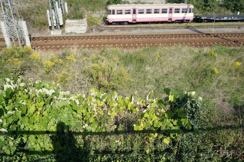 Замок Конопиште - резиденция эрцгерцога Франца Фердинанта