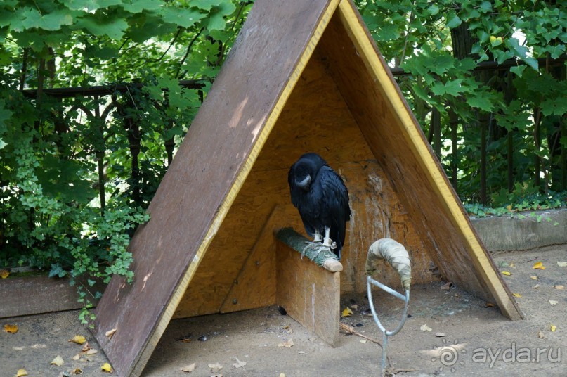 Замок Конопиште - резиденция эрцгерцога Франца Фердинанта