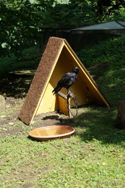 Замок Конопиште - резиденция эрцгерцога Франца Фердинанта