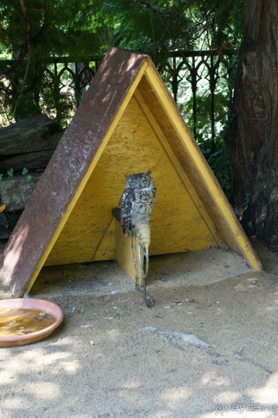 Замок Конопиште - резиденция эрцгерцога Франца Фердинанта