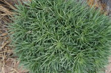 Прогулка по кратеру вулкана Тейде