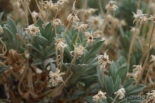 Прогулка по кратеру вулкана Тейде