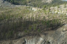 Прогулка по кратеру вулкана Тейде