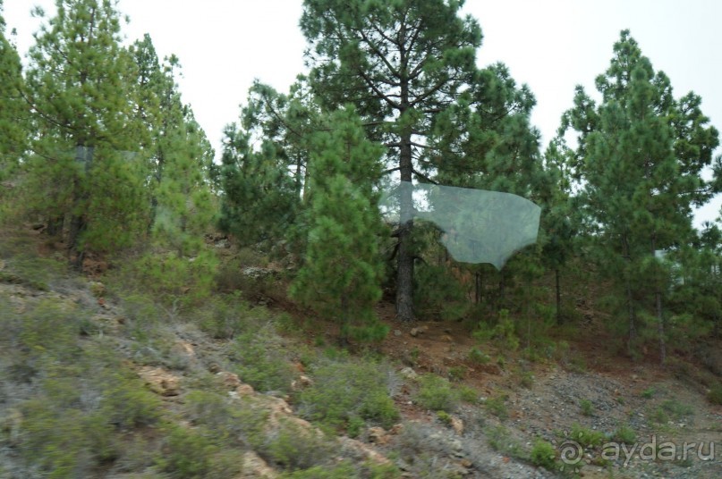 Прогулка по кратеру вулкана Тейде