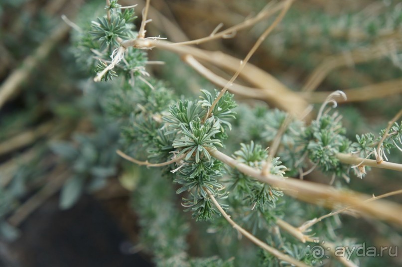 Прогулка по кратеру вулкана Тейде